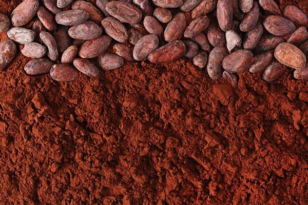 Cocoa Powder Price per Ton June 2022