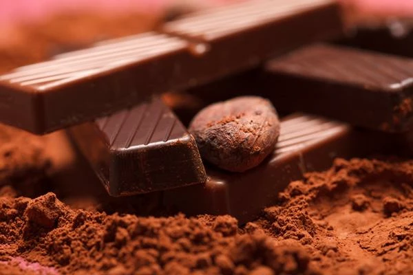 Netherlands' September 2023 Chocolate Export Reaches $604M