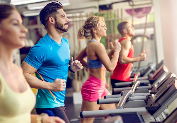 Price of Turkey's Gym and Fitness Equipment Sees Modest Increase to $4,753/Ton