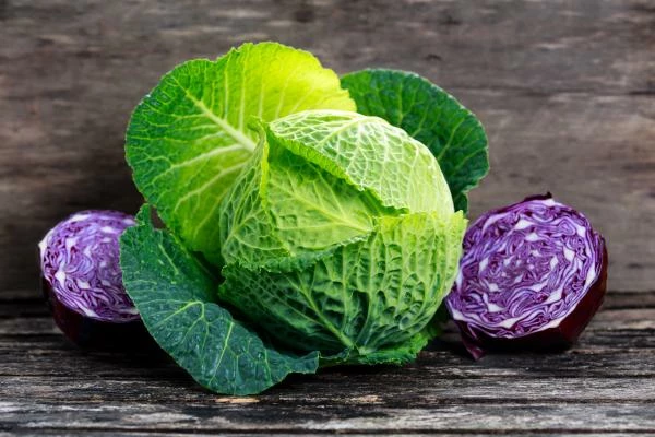Global Cabbage Market to Reach 80M Tons by 2025