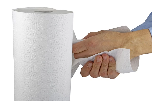 Canada's Import of Paper Hand Towels Soars to $31M in June 2023