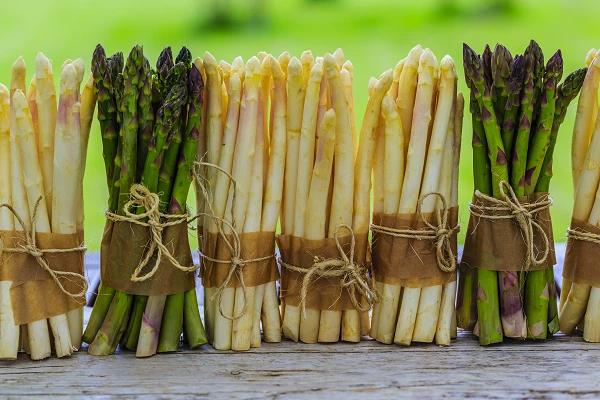 Decline in Import of Preserved Asparagus in Germany to $2.1M in September 2023