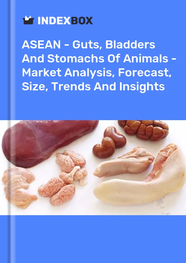 Report ASEAN - Guts, Bladders and Stomachs of Animals - Market Analysis, Forecast, Size, Trends and Insights for 499$