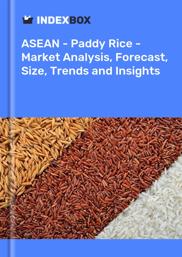 Report ASEAN - Paddy Rice - Market Analysis, Forecast, Size, Trends and Insights for 499$