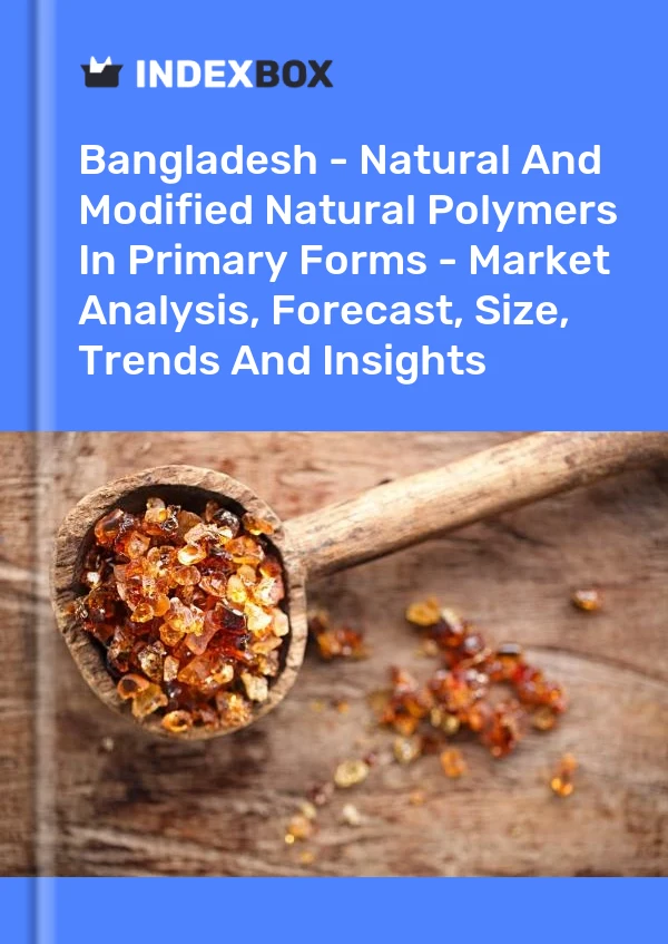 Report Bangladesh - Natural and Modified Natural Polymers in Primary Forms - Market Analysis, Forecast, Size, Trends and Insights for 499$