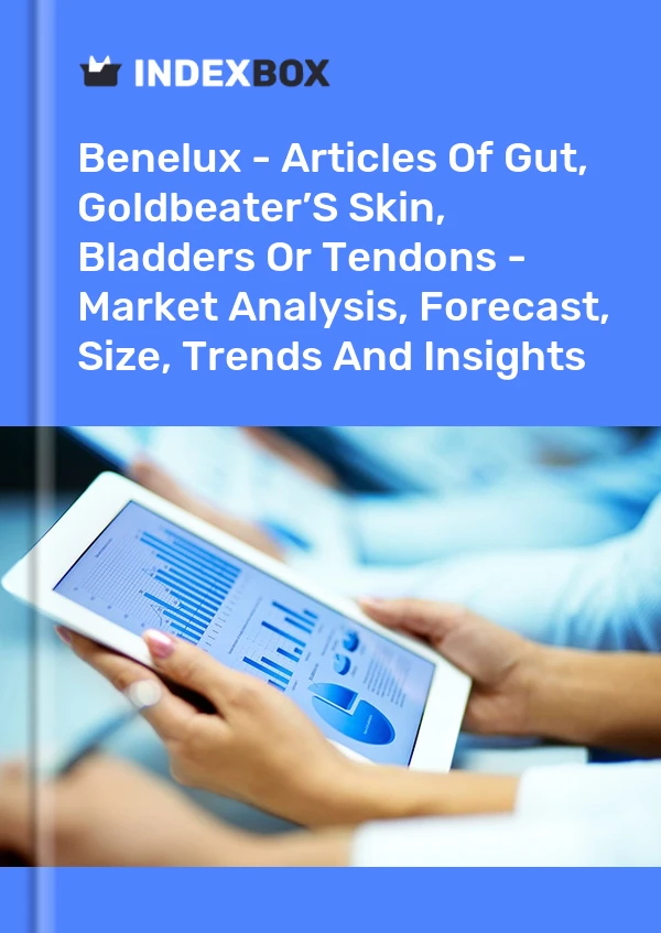Report Benelux - Articles of Gut, Goldbeater’S Skin, Bladders or Tendons - Market Analysis, Forecast, Size, Trends and Insights for 499$