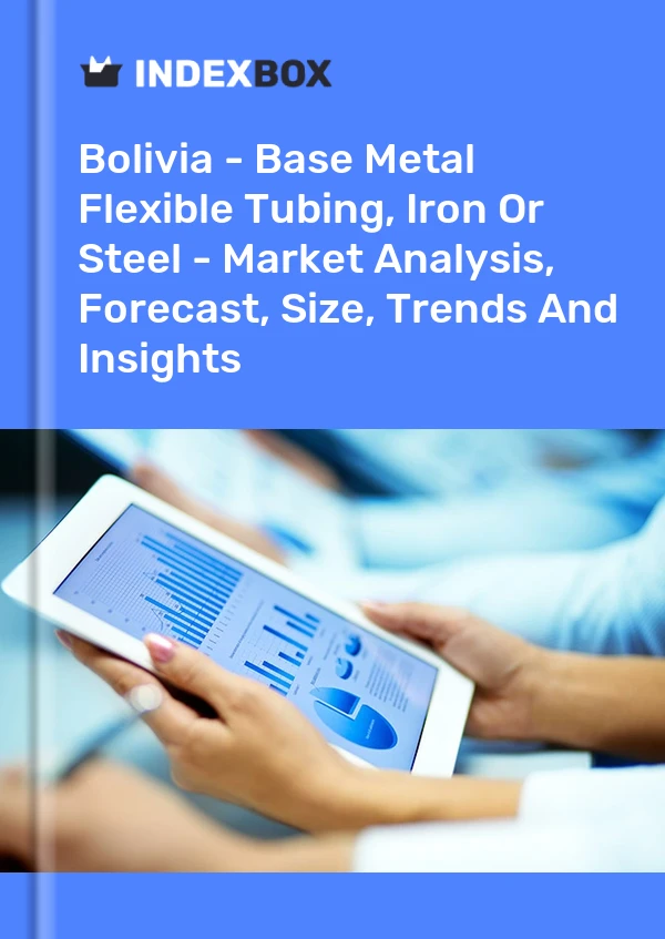 Report Bolivia - Base Metal Flexible Tubing, Iron or Steel - Market Analysis, Forecast, Size, Trends and Insights for 499$
