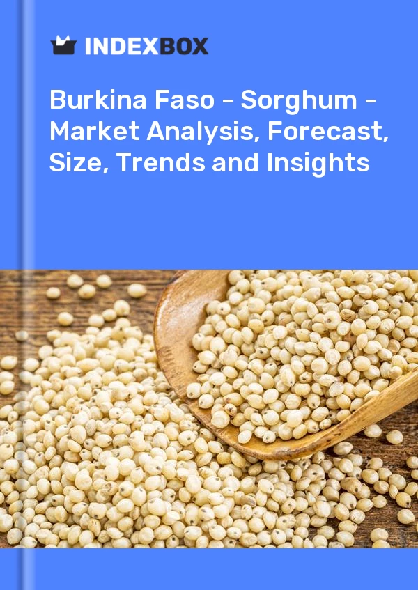 Report Burkina Faso - Sorghum - Market Analysis, Forecast, Size, Trends and Insights for 499$