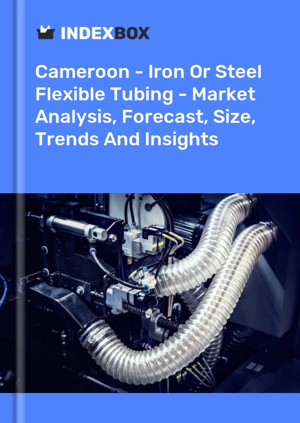 Report Cameroon - Iron or Steel Flexible Tubing - Market Analysis, Forecast, Size, Trends and Insights for 499$