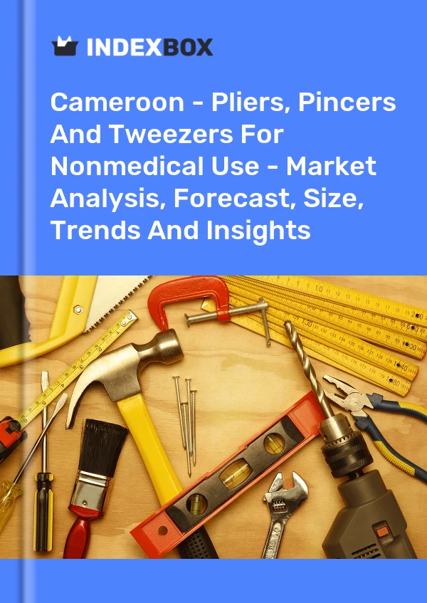 Report Cameroon - Pliers, Pincers and Tweezers for Nonmedical Use - Market Analysis, Forecast, Size, Trends and Insights for 499$