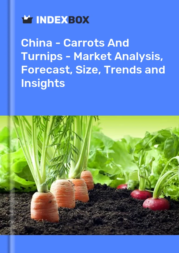 China – Karotten und Rüben – Marktanalyse, Prognose, Größe, Trends und Einblicke