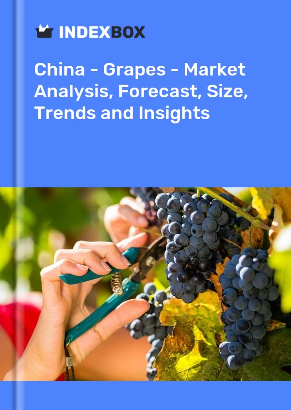 China – Trauben – Marktanalyse, Prognose, Größe, Trends und Einblicke