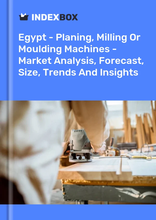 Report Egypt - Planing, Milling or Moulding Machines - Market Analysis, Forecast, Size, Trends and Insights for 499$