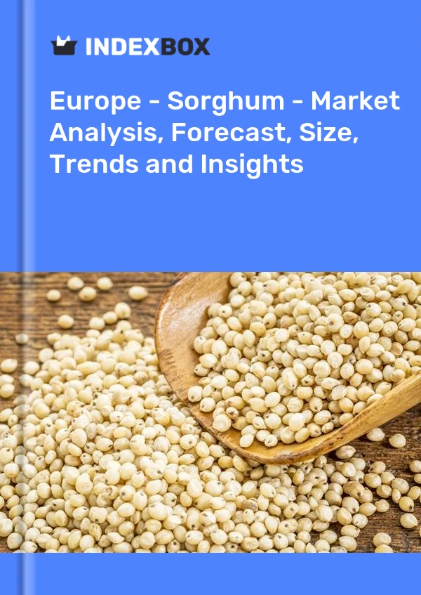 Report Europe - Sorghum - Market Analysis, Forecast, Size, Trends and Insights for 499$