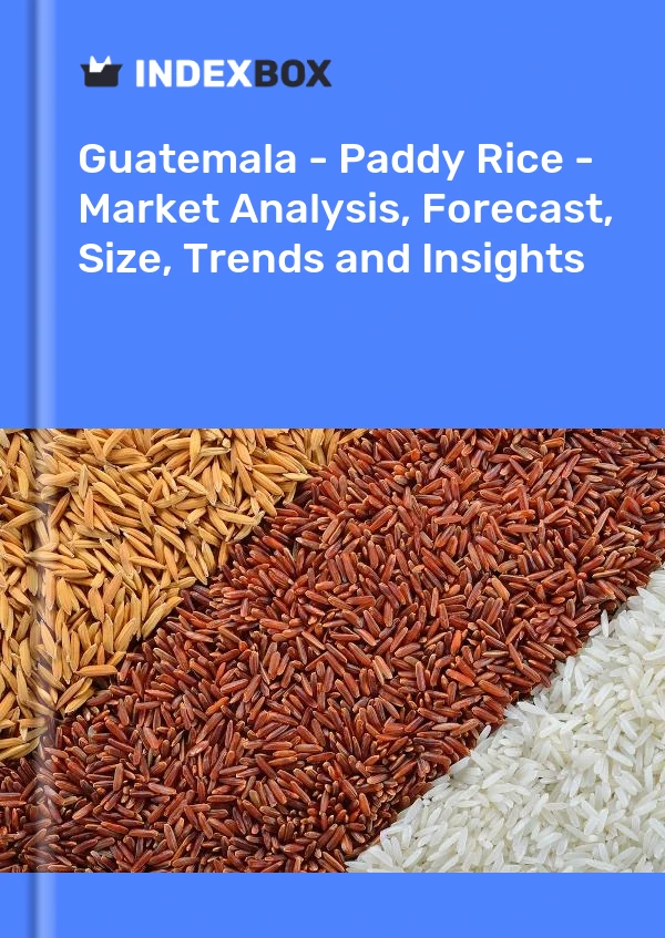 Guatemala - Paddy Rice - Market Analysis, Forecast, Size, Trends and Insights