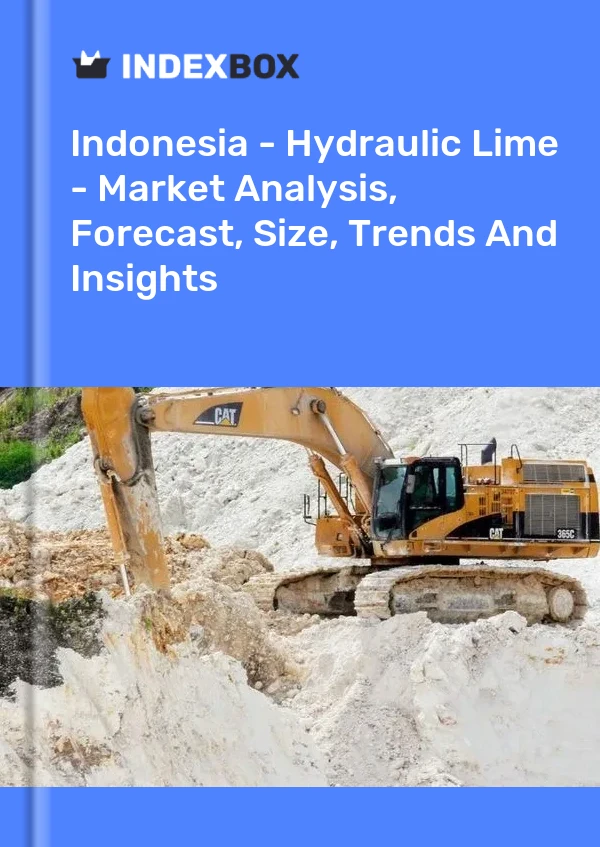 Report Indonesia - Hydraulic Lime - Market Analysis, Forecast, Size, Trends and Insights for 499$