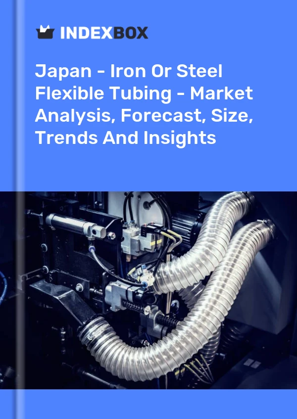 Bericht Japan - Flexible Schläuche aus Eisen oder Stahl - Marktanalyse, Prognose, Größe, Trends und Einblicke for 499$