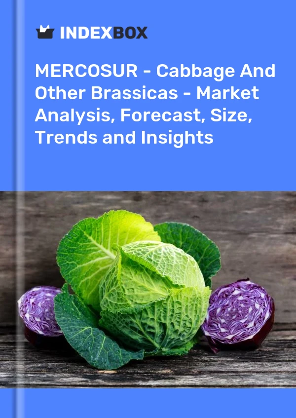 Report MERCOSUR - Cabbage and Other Brassicas - Market Analysis, Forecast, Size, Trends and Insights for 499$
