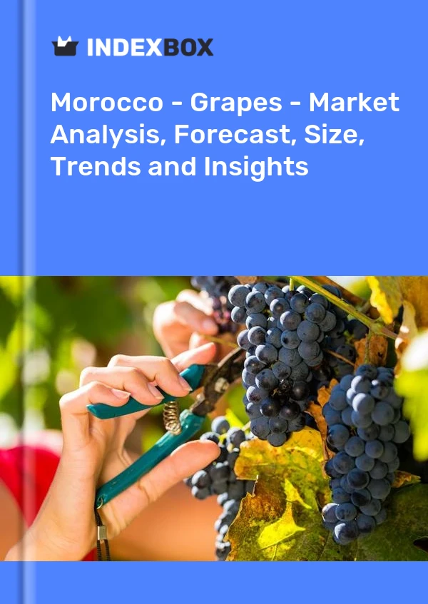 Report Morocco - Grapes - Market Analysis, Forecast, Size, Trends and Insights for 499$