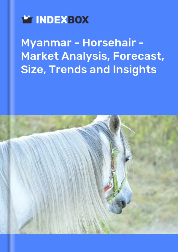 Report Myanmar - Horsehair - Market Analysis, Forecast, Size, Trends and Insights for 499$
