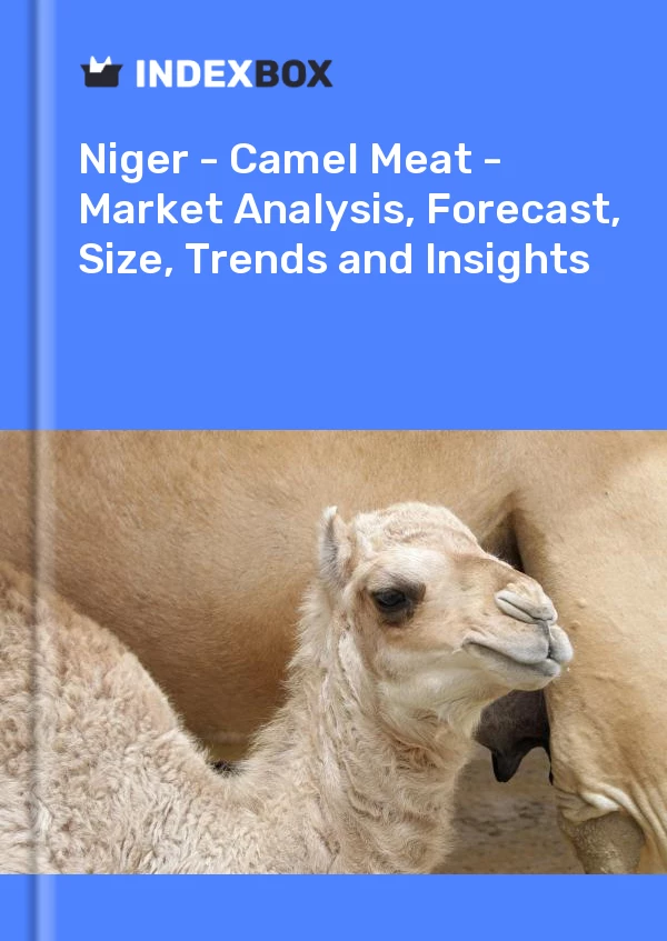 Report Niger - Camel Meat - Market Analysis, Forecast, Size, Trends and Insights for 499$