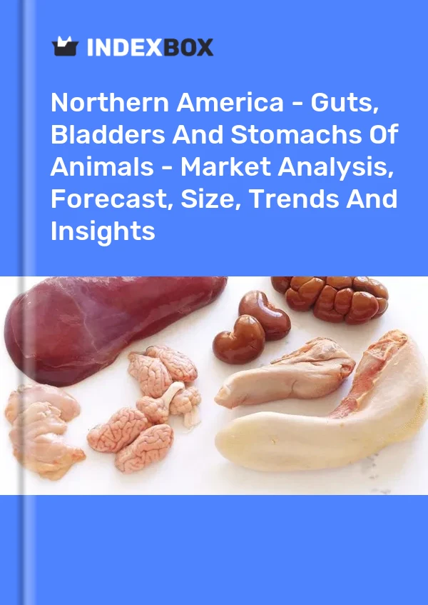 Report Northern America - Guts, Bladders and Stomachs of Animals - Market Analysis, Forecast, Size, Trends and Insights for 499$