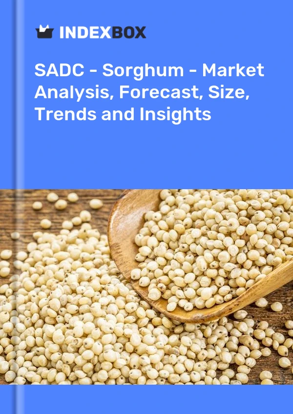 Report SADC - Sorghum - Market Analysis, Forecast, Size, Trends and Insights for 499$