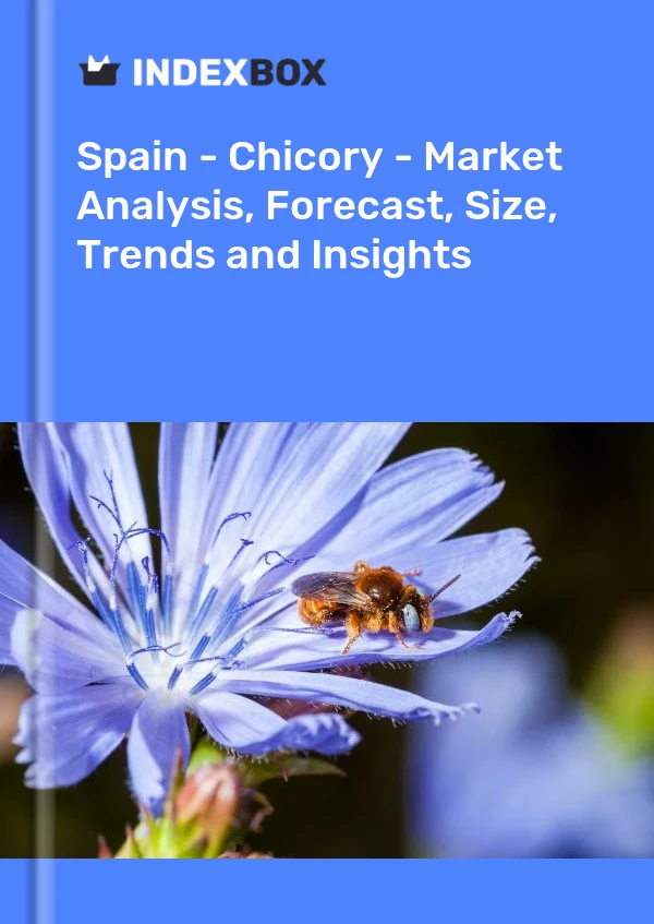 Bericht Spanien - Chicorée - Marktanalyse, Prognose, Größe, Trends und Einblicke for 499$