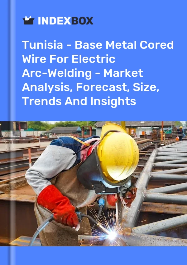 Report Tunisia - Base Metal Cored Wire for Electric Arc-Welding - Market Analysis, Forecast, Size, Trends and Insights for 499$