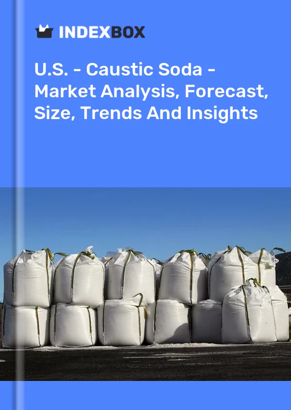 USA – Natronlauge – Marktanalyse, Prognose, Größe, Trends und Einblicke