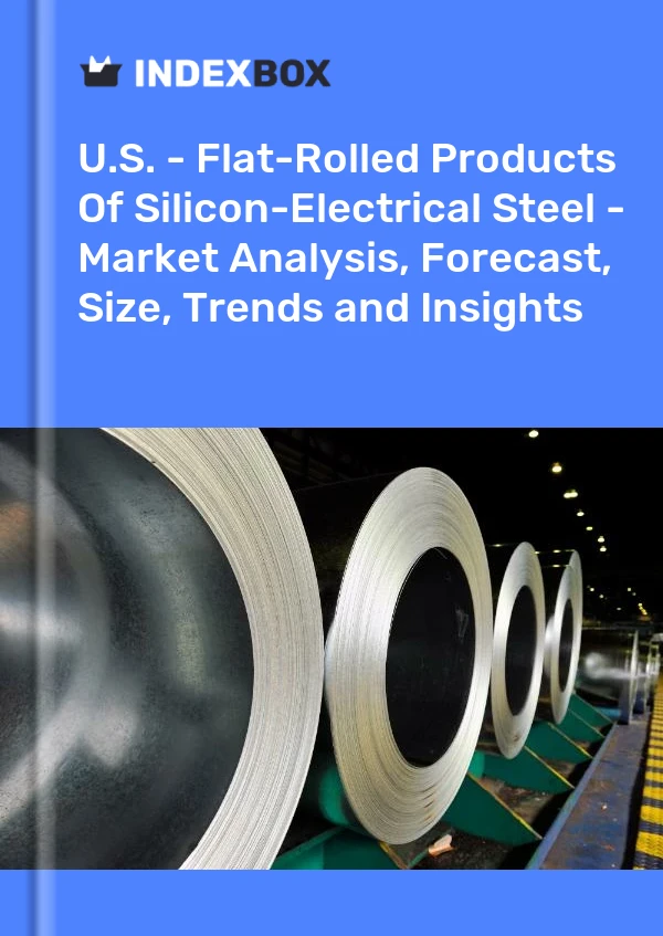 U.S. - Flat-Rolled Products Of Silicon-Electrical Steel - Market Analysis, Forecast, Size, Trends and Insights