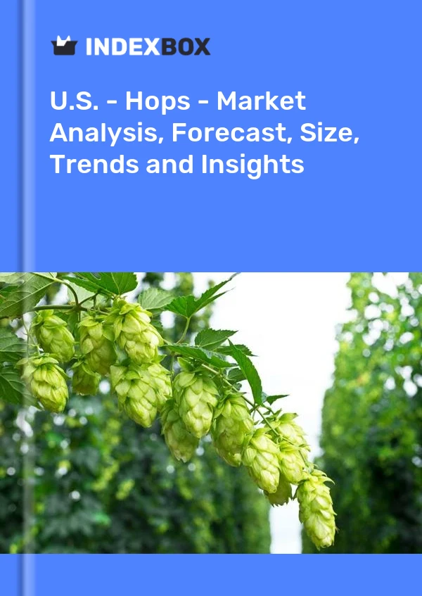 USA – Hopfen – Marktanalyse, Prognose, Größe, Trends und Einblicke