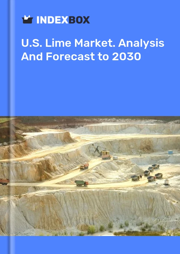 Bericht U.S. Lime Market. Analysis and Forecast to 2025 for 499$