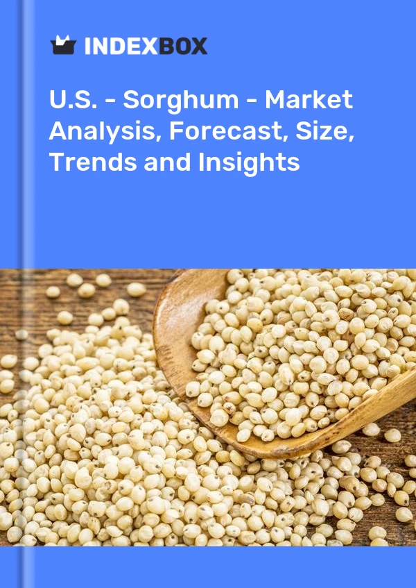 USA – Sorghum – Marktanalyse, Prognose, Größe, Trends und Einblicke