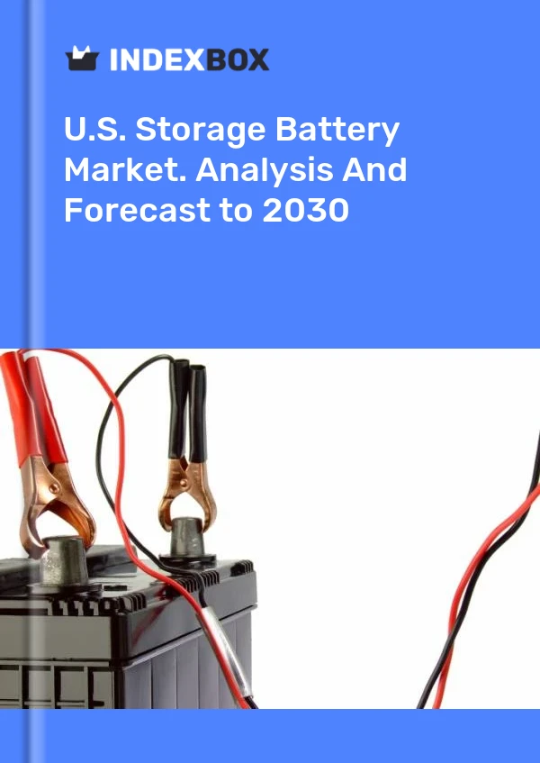 Bericht U.S. Storage Battery Market. Analysis and Forecast to 2025 for 499$