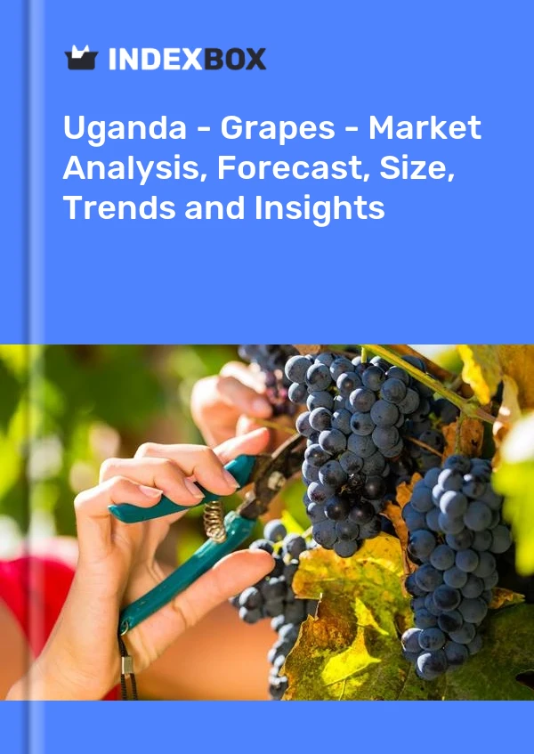 Report Uganda - Grapes - Market Analysis, Forecast, Size, Trends and Insights for 499$
