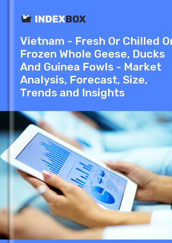 Report Vietnam - Fresh or Chilled or Frozen Whole Geese, Ducks and Guinea Fowls - Market Analysis, Forecast, Size, Trends and Insights for 499$